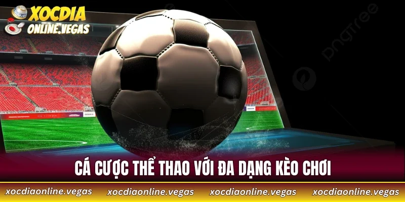SUNWIN - Đánh Giá Nhà Cái Hàng Đầu Châu Á 2026 4 Cá cược thể thao với đa dạng kèo chơi