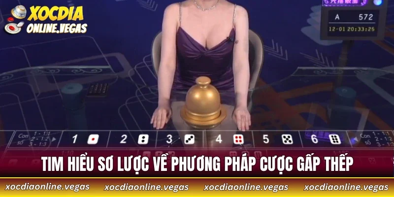 Bật Mí Chiến Thuật Gấp Thếp Trong Xóc Đĩa Từ Cao Thủ 2 Tìm hiểu sơ lược về phương pháp cược gấp thếp