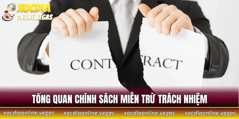Tổng quan chính sách miễn trừ trách nhiệm