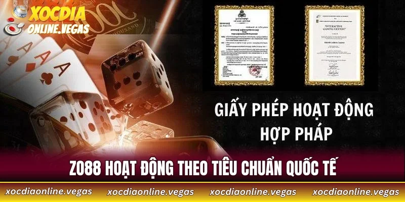 ZO88 hoạt động theo tiêu chuẩn quốc tế
